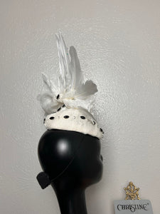 White hat Peacock spreads its wings