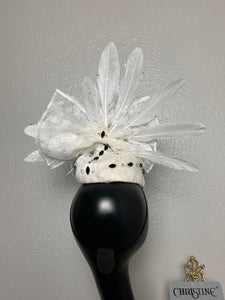 White hat Peacock spreads its wings