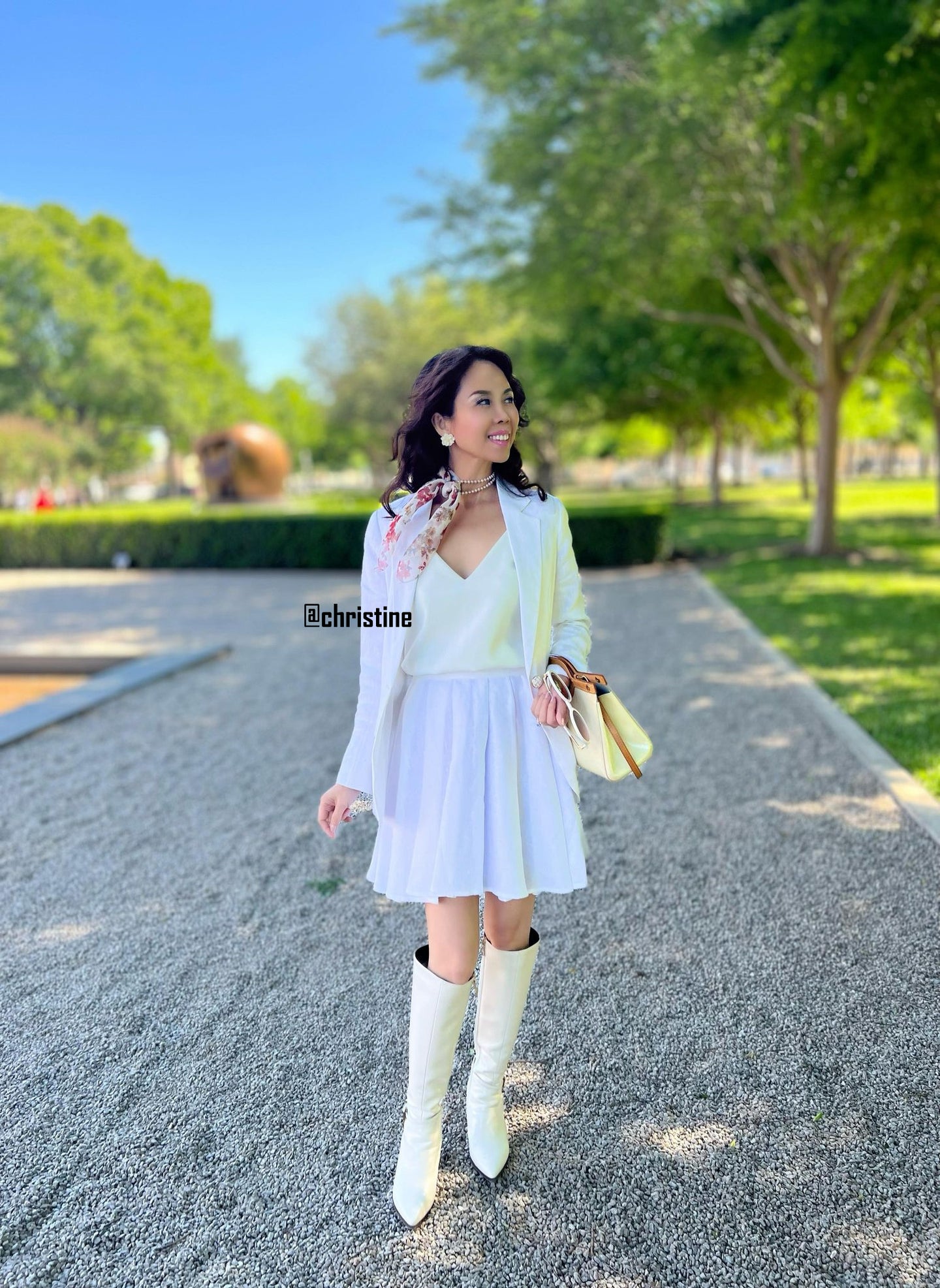 Annie set short or skirt, and blazer
