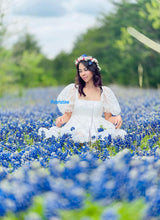 Load image into Gallery viewer, Ariana dress in organza
