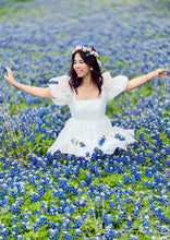 Load image into Gallery viewer, Ariana dress in organza
