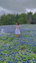 Load and play video in Gallery viewer, Suri Dress in Butterflies Print
