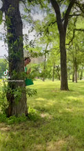 Load and play video in Gallery viewer, Audrey Dress in Banana Leaf Dragonfly gemstones brooch

